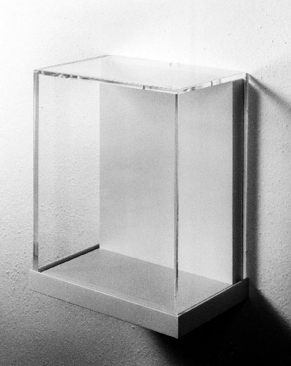 Acrylic wall case